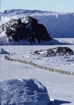 Птицы 2: Путешествие на край света (2004) в хорошем качестве скачать торрент файл Птицы 2: Путешествие на край света (2004) фильм в хорошем качестве скачать торрент файл