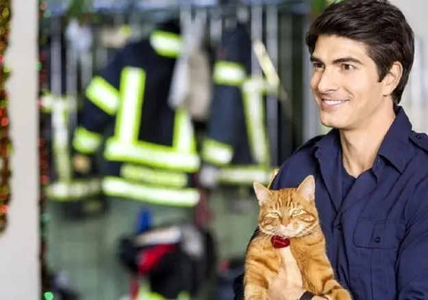 Девять жизней Рождества (2013) скачать торрент файл Девять жизней Рождества (2013) фильм скачать торрент файл