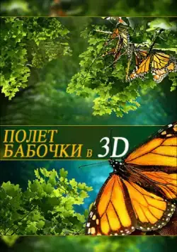 Полет бабочки 3D / Flight of the Monarch Butterfly 3D (2012) фильм скачать через торрет бесплатно в хорошем качестве
