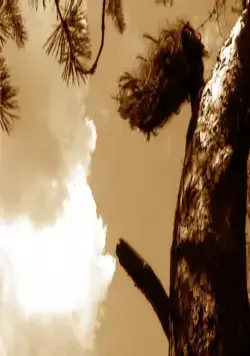 Убитые молнией (2002) скачать торрент файл Убитые молнией (2002) фильм скачать торрент файл