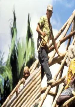 Берег москитов (1986) в хорошем качестве скачать торрент файл Берег москитов (1986) фильм в хорошем качестве скачать торрент файл