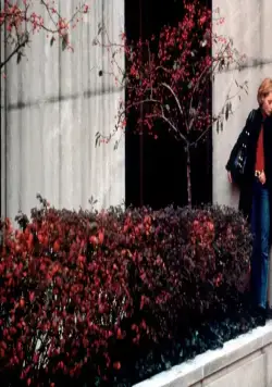 Колледж (2001) скачать торрент бесплатно Колледж (2001) фильм скачать торрент бесплатно