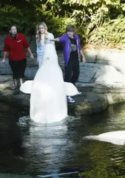 Двое на дороге (2011) скачать торрент файл Двое на дороге (2011) фильм скачать торрент файл