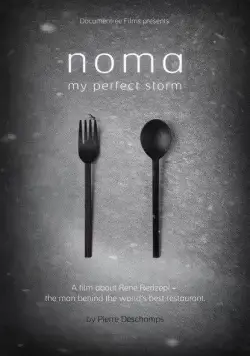 «Нома» – мой идеальный шторм / Noma My Perfect Storm (2015) фильм скачать через торрет бесплатно в хорошем качестве