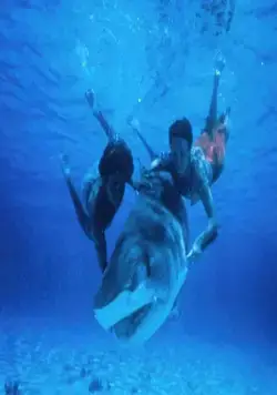 Ловец акул с острова Бора-Бора (1979) скачать торрент бесплатно Ловец акул с острова Бора-Бора (1979) фильм скачать торрент бесплатно