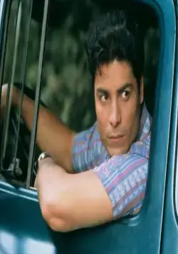 Танцуй со мной (1998) скачать торрент файл Танцуй со мной (1998) фильм скачать торрент файл