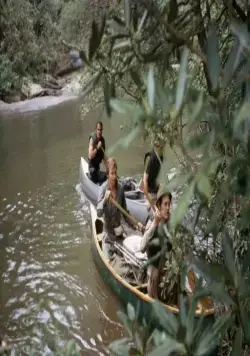 Избавление (1972) в хорошем качестве скачать торрент файл Избавление (1972) фильм в хорошем качестве скачать торрент файл