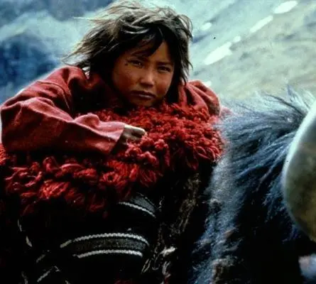 Гималаи (1999) в хорошем качестве скачать торрент файл Гималаи (1999) фильм в хорошем качестве скачать торрент файл