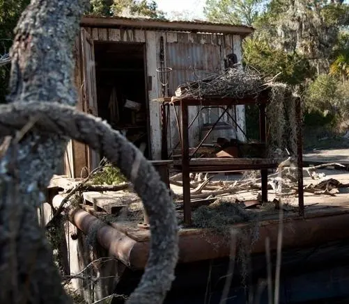 Саванна (2013) в хорошем качестве скачать торрент файл Саванна (2013) фильм в хорошем качестве скачать торрент файл