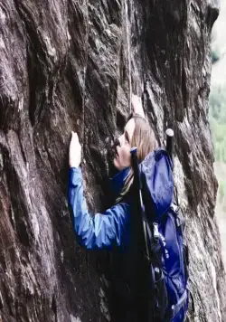 Похищенная (2011) в хорошем качестве скачать торрент файл Похищенная (2011) фильм в хорошем качестве скачать торрент файл