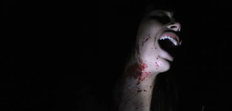 Ночной огонёк (2013) в хорошем качестве скачать торрент файл Ночной огонёк (2013) фильм в хорошем качестве скачать торрент файл