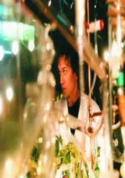 Дежурный аптекарь (2003) в хорошем качестве скачать торрент файл Дежурный аптекарь (2003) фильм в хорошем качестве скачать торрент файл