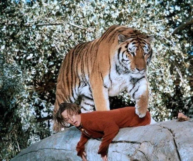 Рев (1981) скачать торрент бесплатно Рев (1981) фильм скачать торрент бесплатно