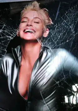 Женщина-кошка (2004) скачать торрент файл Женщина-кошка (2004) фильм скачать торрент файл