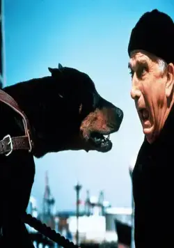 Голый пистолет 2 1/2: Запах страха (1991) в хорошем качестве скачать торрент файл Голый пистолет 2 1/2: Запах страха (1991) фильм в хорошем качестве скачать торрент файл