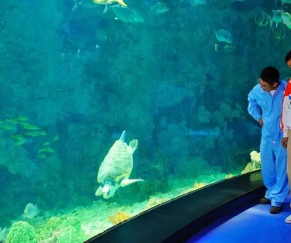 Рай океана (2010) скачать торрент файл Рай океана (2010) фильм скачать торрент файл