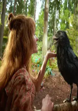 Маленькая ведьма (2018) в хорошем качестве скачать торрент файл Маленькая ведьма (2018) фильм в хорошем качестве скачать торрент файл