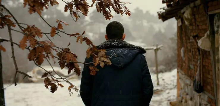 Дикая груша (2018) в хорошем качестве скачать торрент файл Дикая груша (2018) фильм в хорошем качестве скачать торрент файл