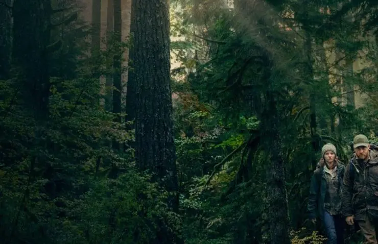 Не оставляй следов (2018) скачать торрент файл Не оставляй следов (2018) фильм скачать торрент файл