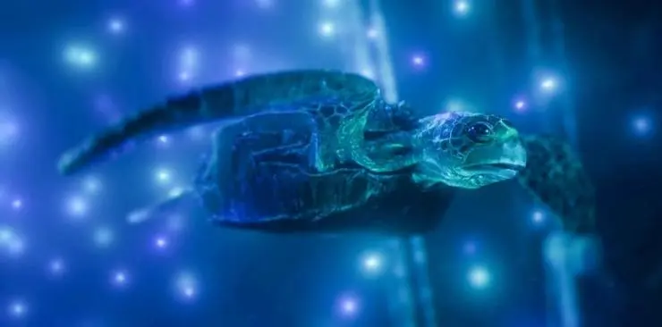 Гибриды (2017) скачать торрент бесплатно Гибриды (2017) мультфильм скачать торрент бесплатно