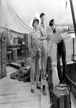 Иметь и не иметь (1944) скачать торрент бесплатно Иметь и не иметь (1944) фильм скачать торрент бесплатно