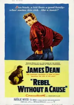 Бунтарь без причины / Rebel Without a Cause (1955) фильм скачать через торрет бесплатно в хорошем качестве
