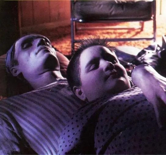 Семейка Аддамс (1991) скачать торрент файл Семейка Аддамс (1991) фильм скачать торрент файл