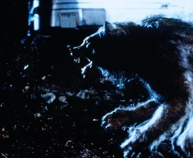 Зловещая луна (1996) скачать торрент бесплатно Зловещая луна (1996) фильм скачать торрент бесплатно