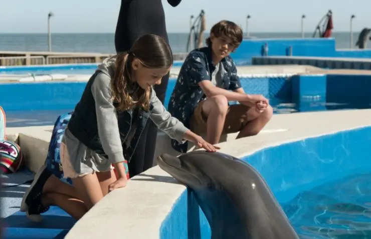 Дельфин Берни (2018) в хорошем качестве скачать торрент файл Дельфин Берни (2018) фильм в хорошем качестве скачать торрент файл