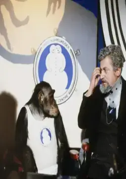 Сексмиссия (1983) в хорошем качестве скачать торрент файл Сексмиссия (1983) фильм в хорошем качестве скачать торрент файл