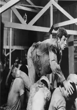 Человек из Рио (1964) скачать торрент бесплатно Человек из Рио (1964) фильм скачать торрент бесплатно