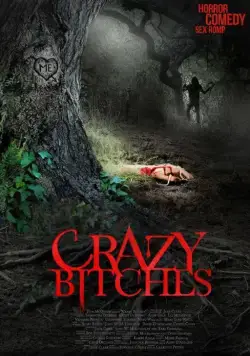 Сумасшедшие суки / Crazy Bitches (2014) фильм скачать через торрет бесплатно в хорошем качестве