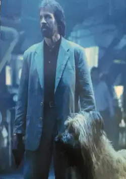 Главная собака (1995) скачать торрент файл Главная собака (1995) фильм скачать торрент файл