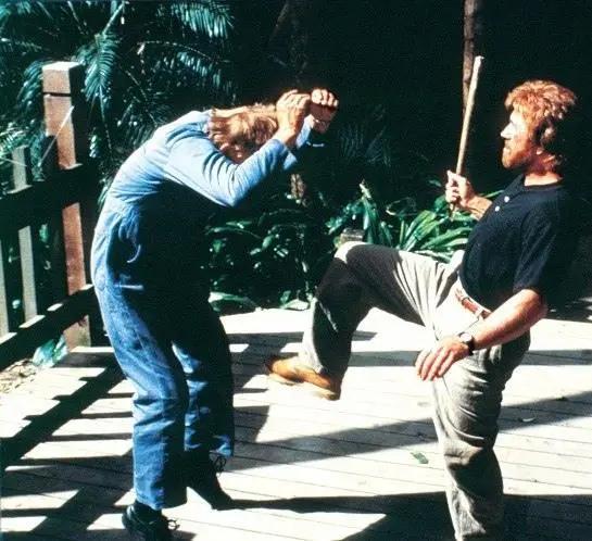 Главная собака (1995) скачать торрент бесплатно Главная собака (1995) фильм скачать торрент бесплатно