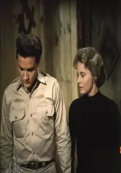 Малыш Галахад (1962) скачать торрент файл Малыш Галахад (1962) фильм скачать торрент файл