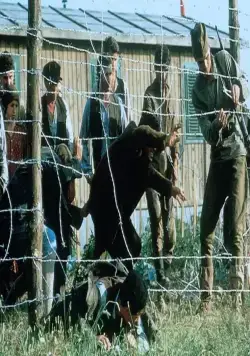 Побег из Собибора (1987) в хорошем качестве скачать торрент файл Побег из Собибора (1987) фильм в хорошем качестве скачать торрент файл