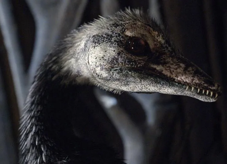 Музей естественной истории с Дэвидом Аттенборо (2014) скачать торрент бесплатно Музей естественной истории с Дэвидом Аттенборо (2014) фильм скачать торрент бесплатно