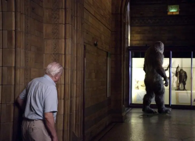 Музей естественной истории с Дэвидом Аттенборо (2014) скачать торрент файл Музей естественной истории с Дэвидом Аттенборо (2014) фильм скачать торрент файл