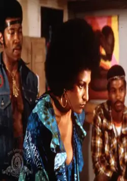 Фокси Браун (1974) скачать торрент бесплатно Фокси Браун (1974) фильм скачать торрент бесплатно