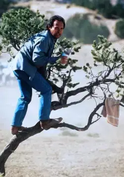 Городские пижоны (1991) скачать торрент бесплатно Городские пижоны (1991) фильм скачать торрент бесплатно