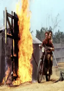 Динозавр: Тайна затерянного мира (1985) в хорошем качестве скачать торрент файл Динозавр: Тайна затерянного мира (1985) фильм в хорошем качестве скачать торрент файл