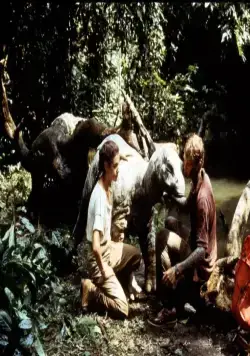 Динозавр: Тайна затерянного мира (1985) скачать торрент файл Динозавр: Тайна затерянного мира (1985) фильм скачать торрент файл