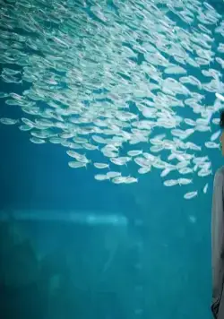 Кукловод (2010) скачать торрент файл Кукловод (2010) фильм скачать торрент файл