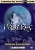 Волки / Wolves (1999) фильм скачать через торрет бесплатно в хорошем качестве