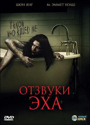 Отзвуки эха / Haunted Echoes (2008) фильм скачать через торрет бесплатно в хорошем качестве