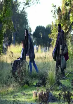 Моя любовная песня (2009) скачать торрент файл Моя любовная песня (2009) фильм скачать торрент файл