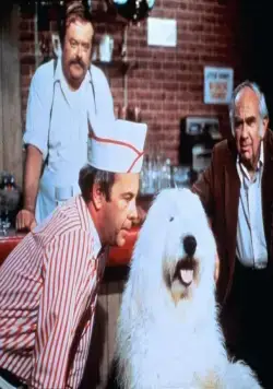 Лохматый прокурор (1976) в хорошем качестве скачать торрент файл Лохматый прокурор (1976) фильм в хорошем качестве скачать торрент файл