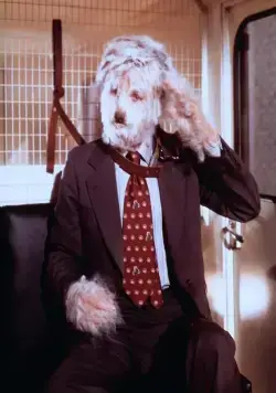 Лохматый прокурор (1976) скачать торрент бесплатно Лохматый прокурор (1976) фильм скачать торрент бесплатно