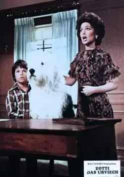 Лохматый прокурор (1976) скачать торрент файл Лохматый прокурор (1976) фильм скачать торрент файл