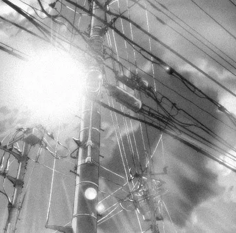 Она и её кот (1999) скачать торрент бесплатно Она и её кот (1999) мультфильм скачать торрент бесплатно